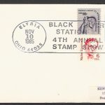 USA stasmps Cover  - FFF4263
